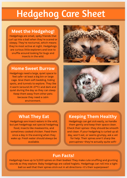 Hedgehog Care Sheet